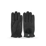 Dressing Gloves